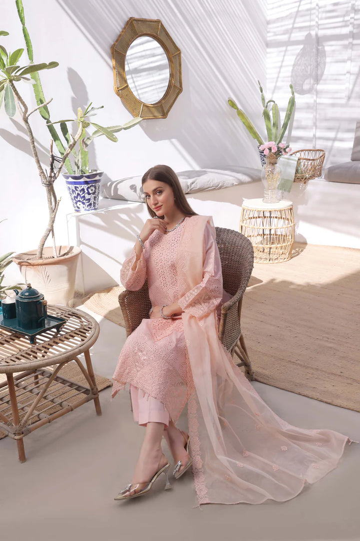 handmade Pakistani embroidered dress