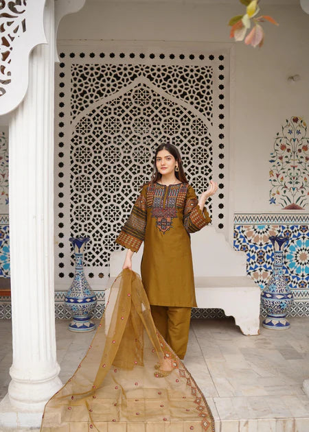 Pakistani Chiffon Green dress USA - Make By Moon