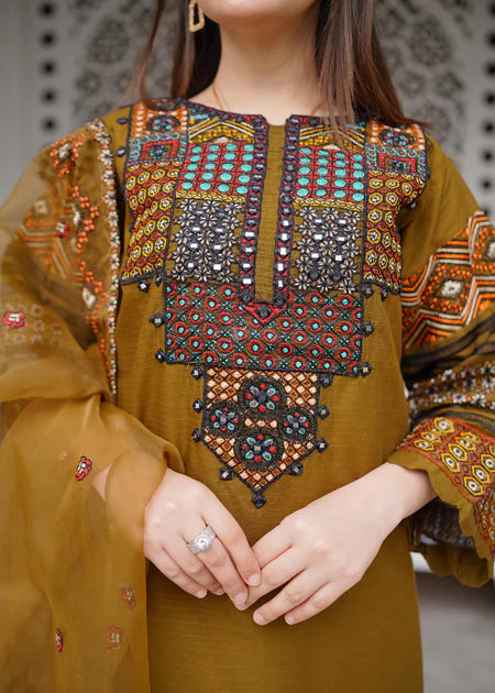 Pakistani Chiffon Green dress USA - Make By Moon