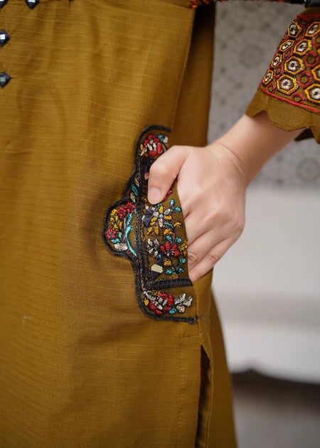 Pakistani Chiffon Green dress USA - Make By Moon