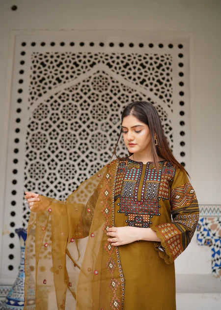 Pakistani Chiffon Green dress USA - Make By Moon