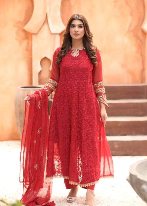 Pakistani Chiffon Maroon dress USA - Make By Moon