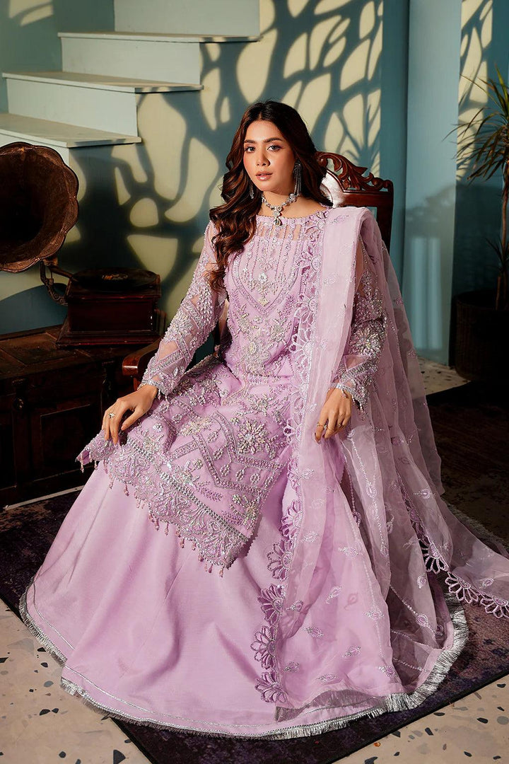 Hand Embroidered Dupatta Organza Dress 2024 - Make By Moon 