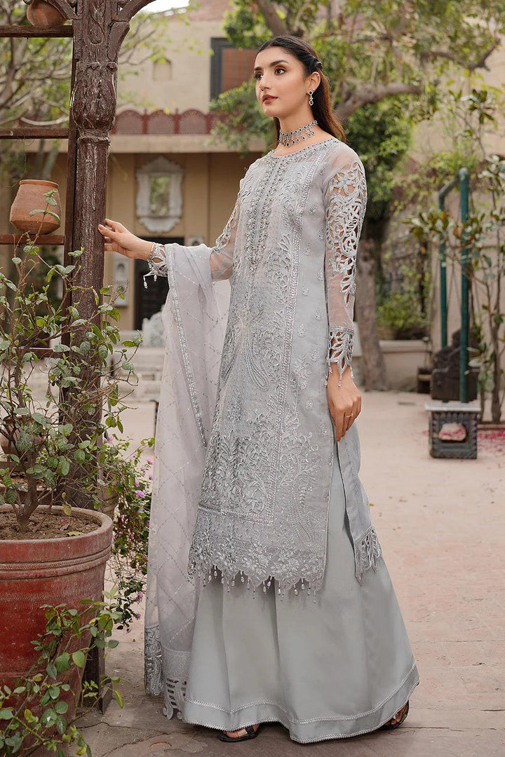 Pakistani Organza dupatta  Dress 2024- Make by Moon 