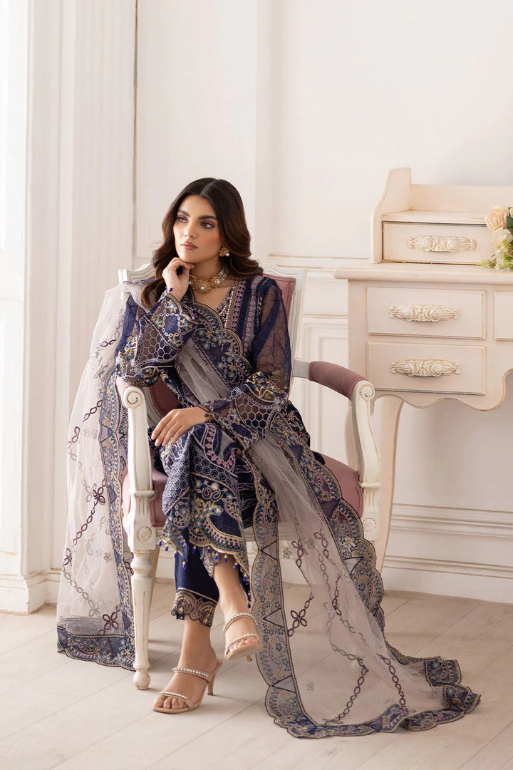 Organza pakistani dress