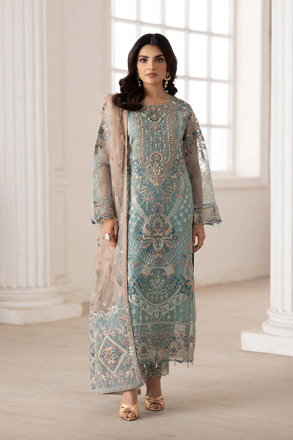Organza pakistani dress