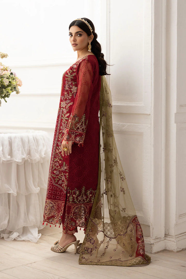 Organza pakistani dress