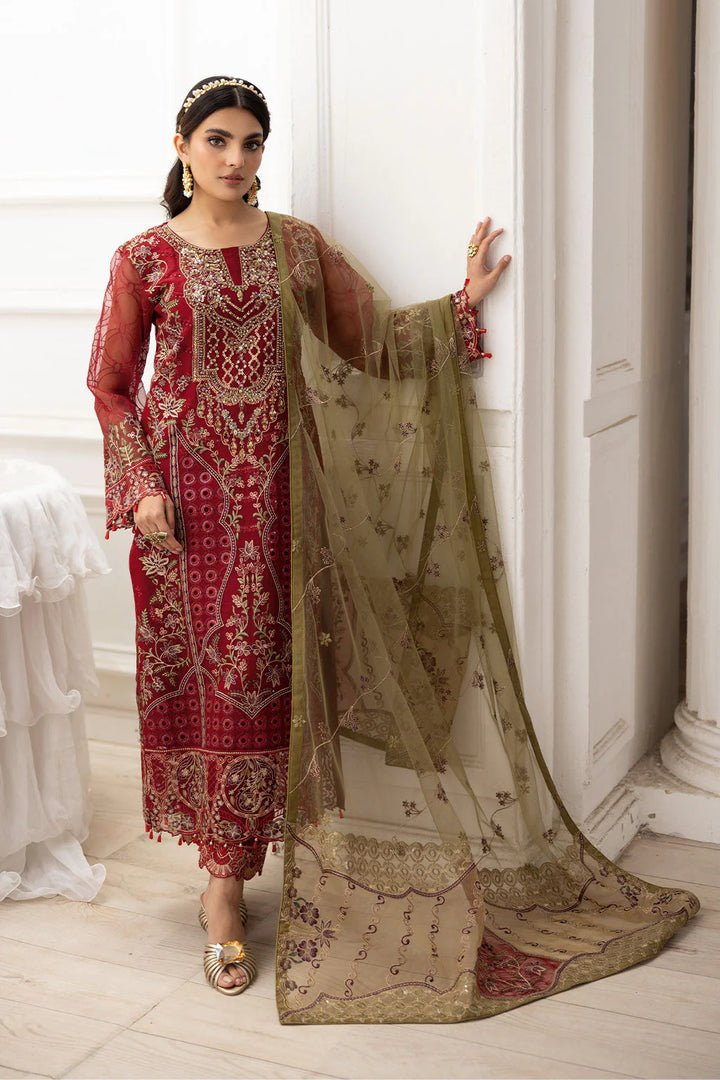 Organza pakistani dress