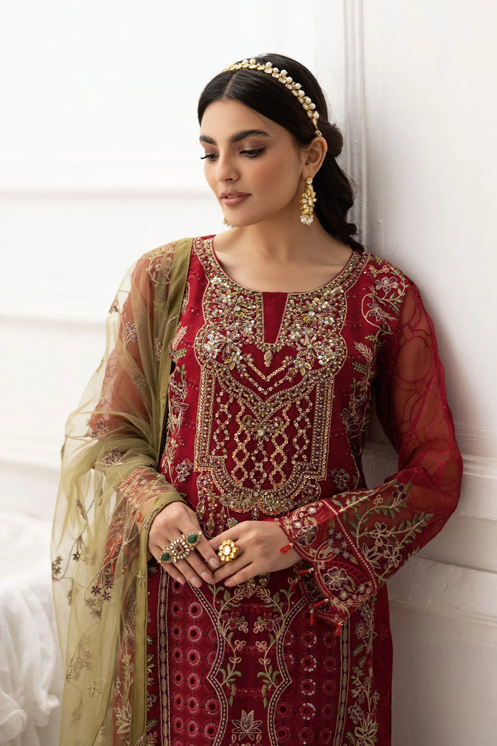 Organza pakistani dress