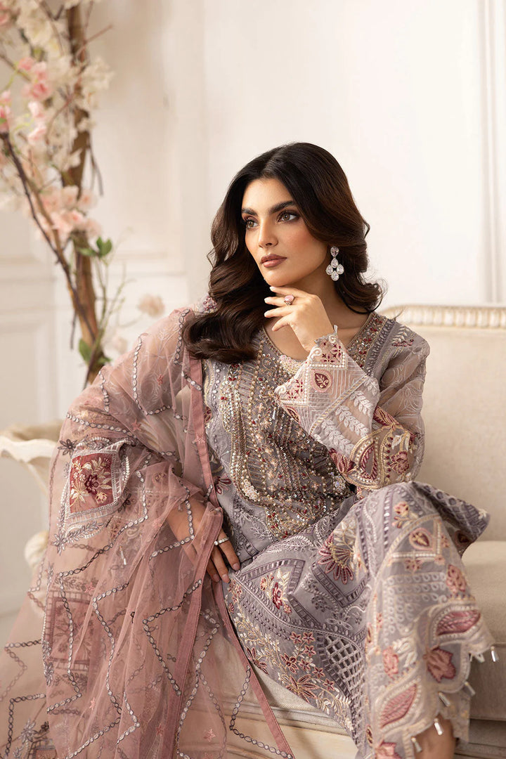 Organza pakistani dress