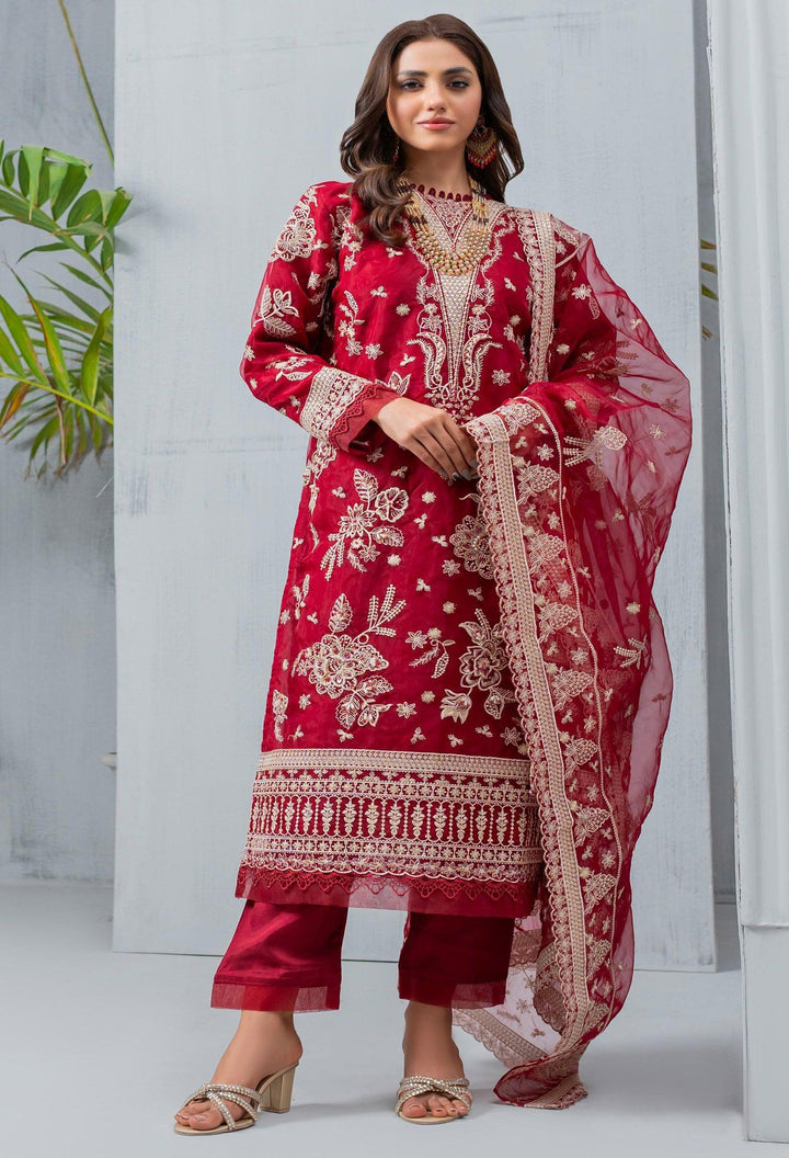 Umer Aayan In USA- Pakistani Organza Dress

