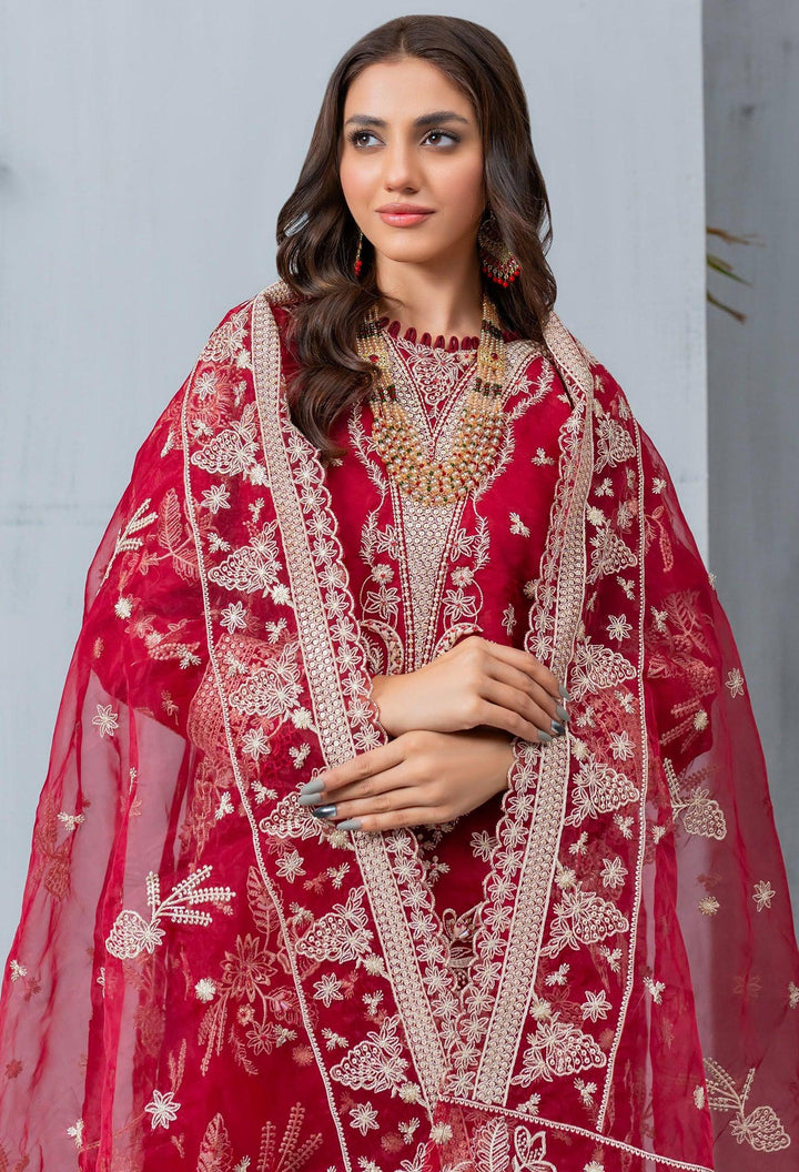 Umer Aayan In USA- Pakistani Organza Dress

