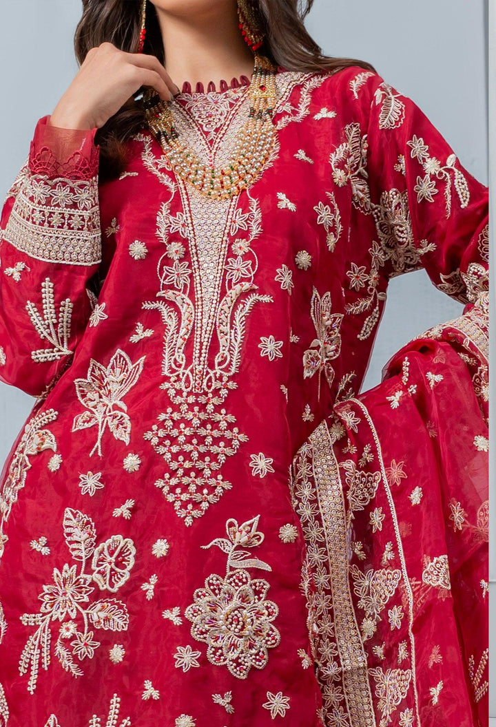 Umer Aayan In USA- Pakistani Organza Dress

