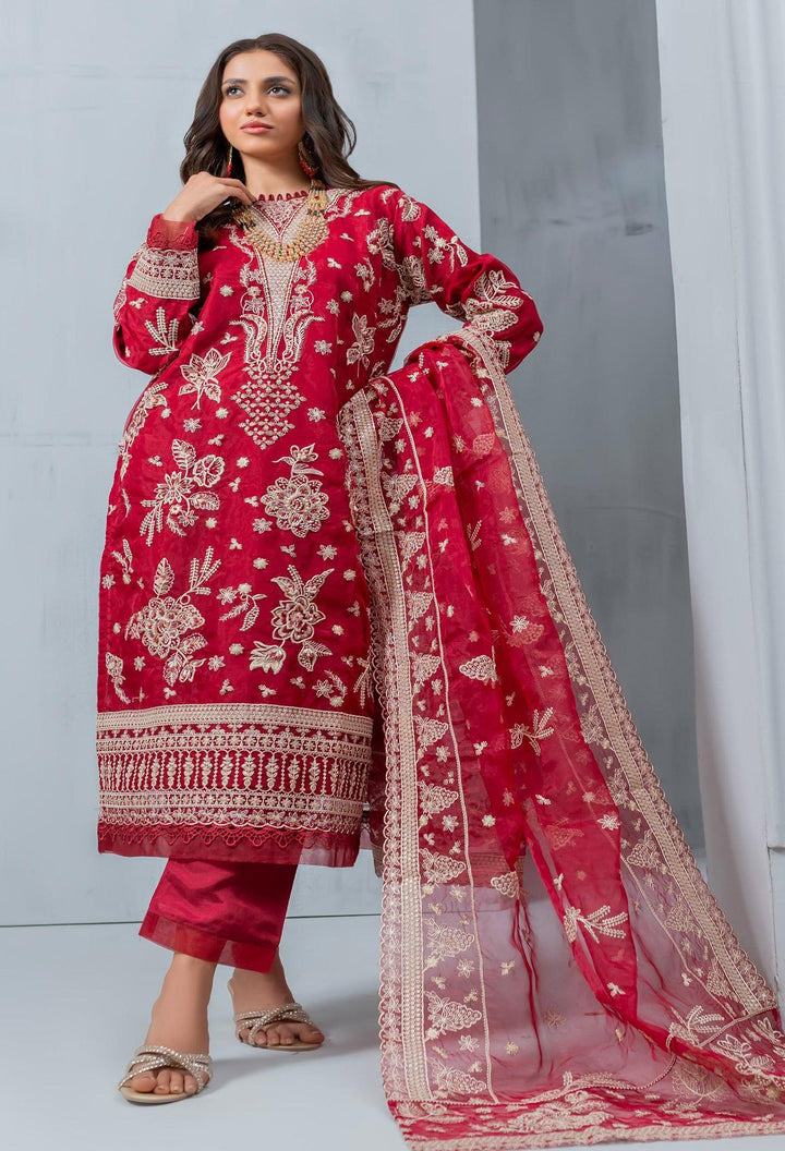 Umer Aayan In USA- Pakistani Organza Dress

