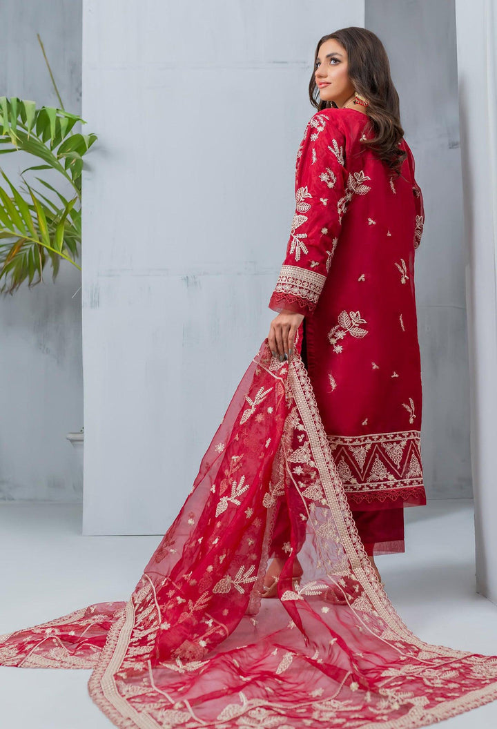 Umer Aayan In USA- Pakistani Organza Dress

