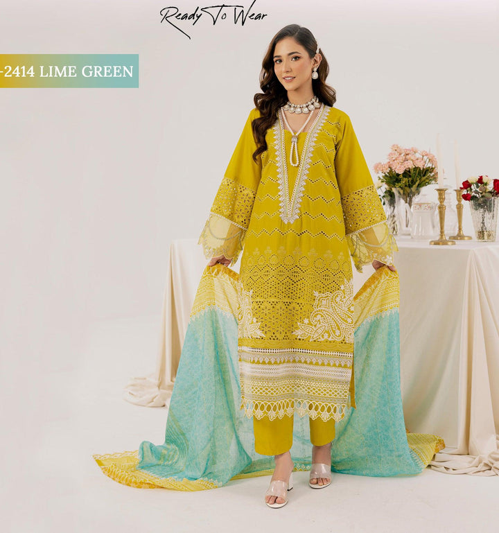 Original Pakistani  Dress In Michigan USA.