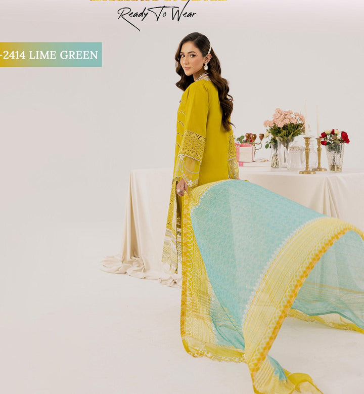 Original Pakistani  Dress In Michigan USA.