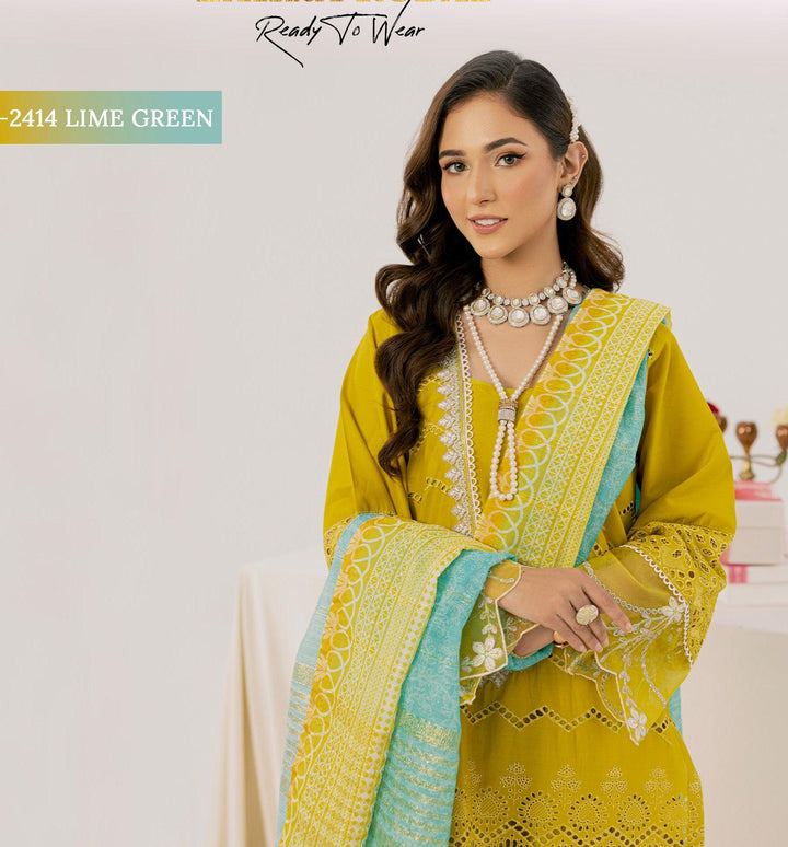 Original Pakistani  Dress In Michigan USA.