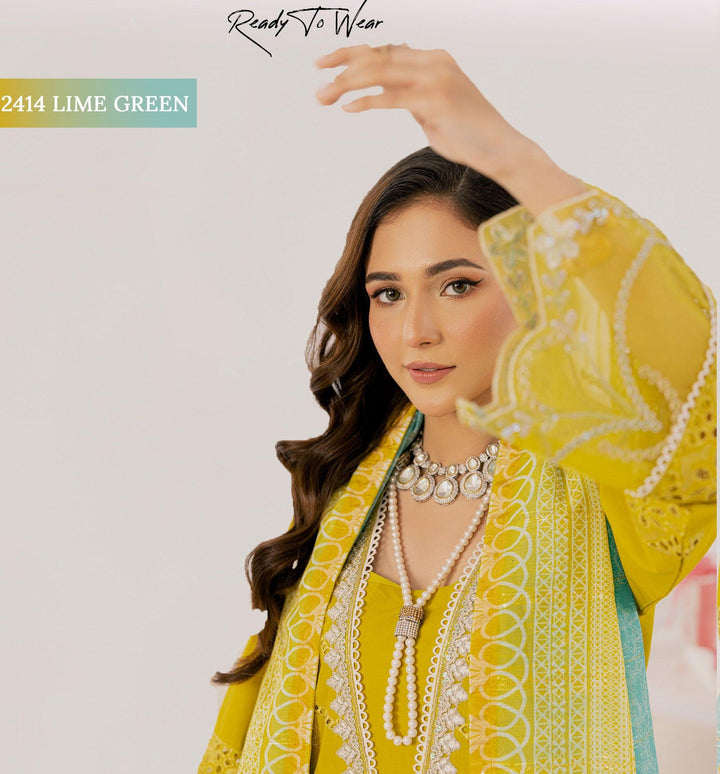 Original Pakistani  Dress In Michigan USA.