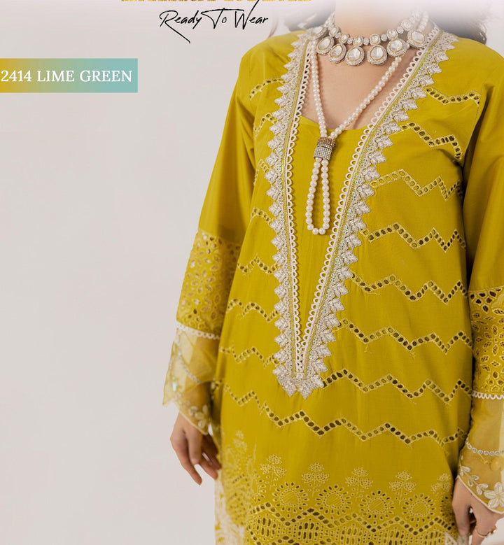 Original Pakistani  Dress In Michigan USA.